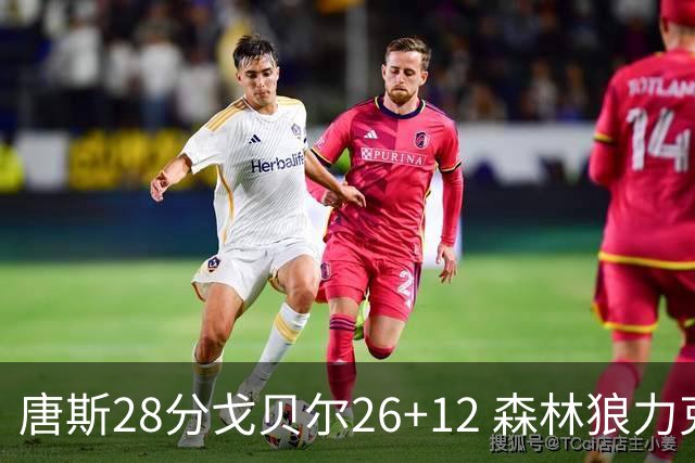 唐斯28分戈贝尔26+12 森林狼力克黄蜂4连胜
